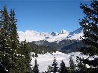 Arosa